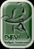DTV Tennisverein Delligsen